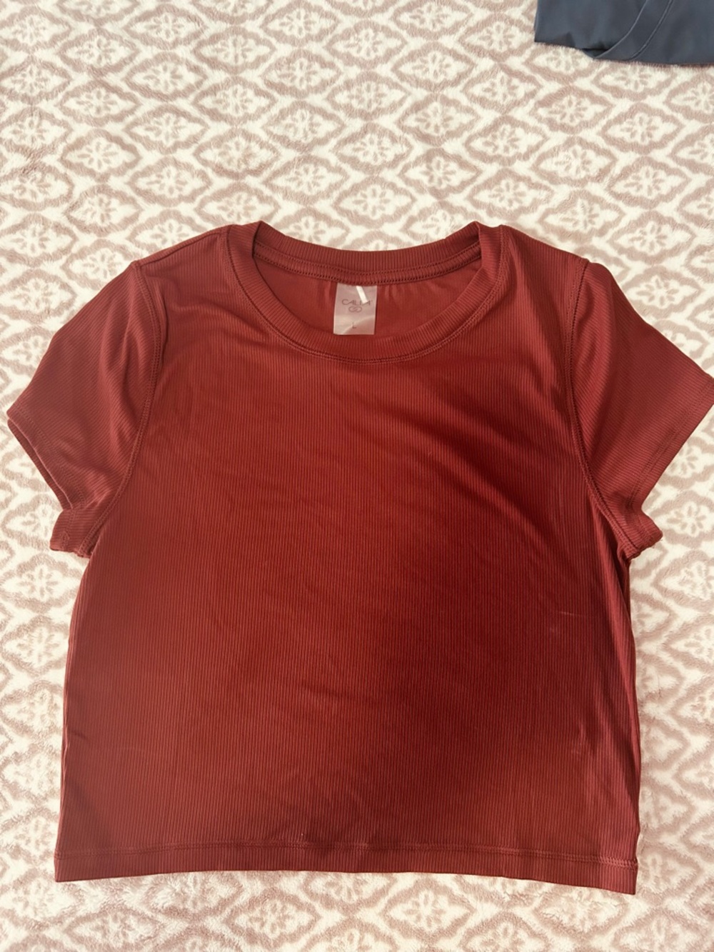 CALIA by Carrie Underwood Short Sleeve Ribbed Tee in Brick
